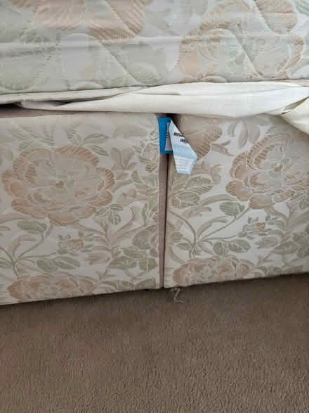 Photo of free Double bed (Talbot Woods BH4) #3