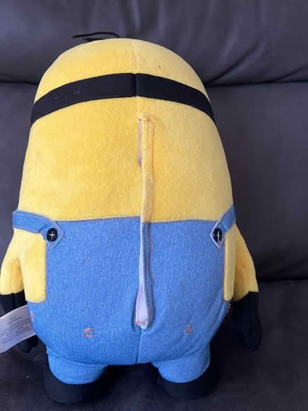 Photo of free Talking Minion (Fort Sheridan) #3