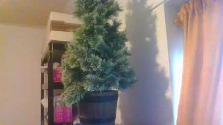 Photo of free 4 foot porch Tree Artificial (Bath BA2) #3