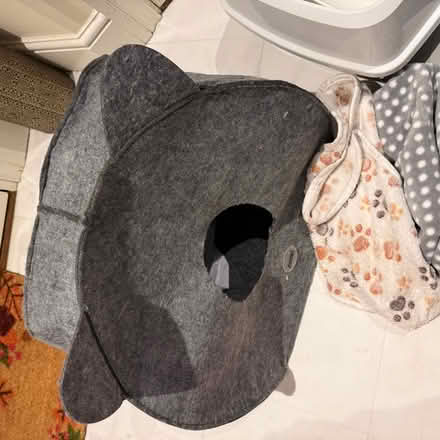 Photo of free Cat accessories (Redhill RH2) #3