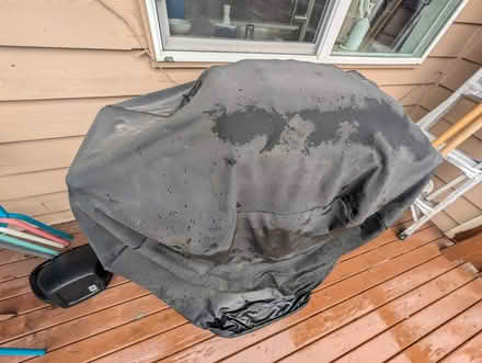 Photo of free Gas Grill (Redmond, WA 98052) #2