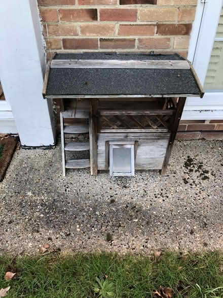 Photo of free premium cat supplies, large quantity (Sandhills OX3) #1