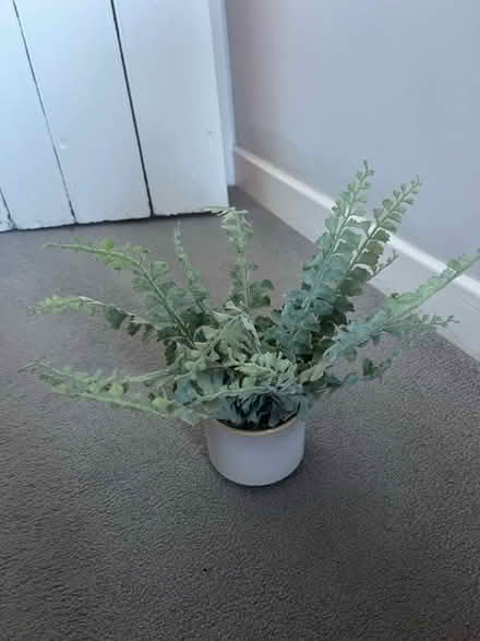 Photo of free Artificial plant in pot (OX14) #1