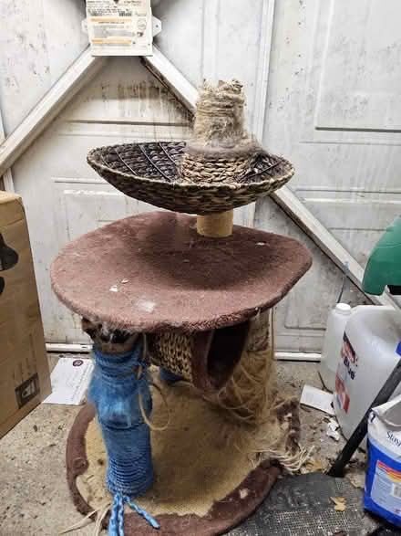 Photo of free Cat bed scratching post (Putnoe MK41) #3