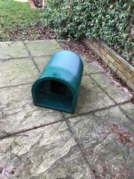 Photo of free premium cat supplies, large quantity (Sandhills OX3) #2