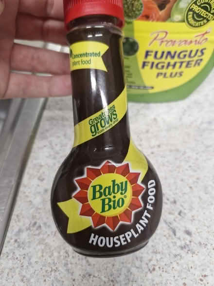 Photo of free Plants (Hanworth RG12) #3