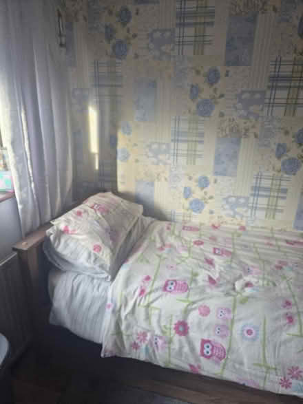 Photo of free Single Bed (Denton M34) #2