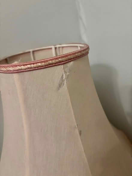 Photo of free Two vintage lamps (Dodside Street G32) #3