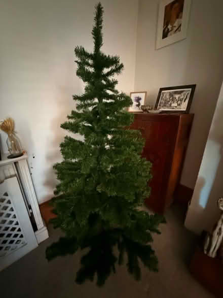 Photo of free Christmas Tree (Guildford GU1) #1