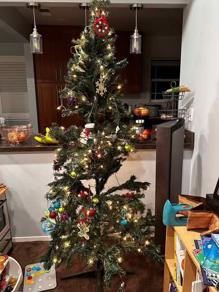 Photo of free Christmas tree (Downtown Sunnyvale) #1