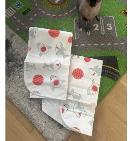 Photo of free Changing mats (Hoddesdon EN11) #1