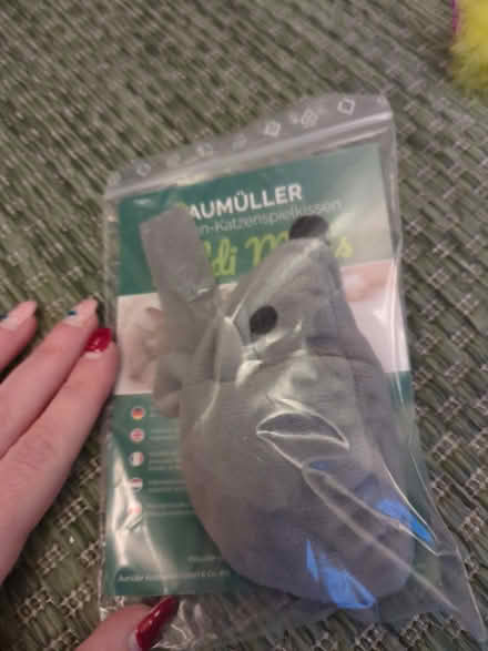 Photo of free Cat toys (Prenton CH43) #2