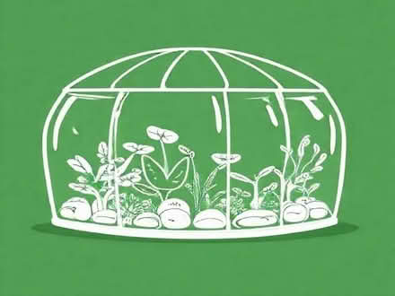 Photo of Terrarium x2 or 3ft vivarium x2 (Racecourse) #1