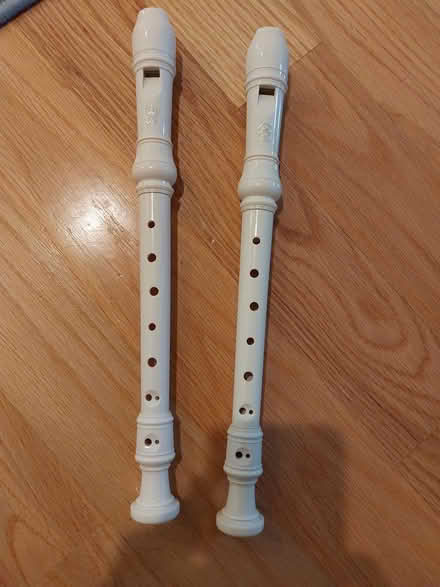 Photo of free Recorder Instrument (downers grove) #1