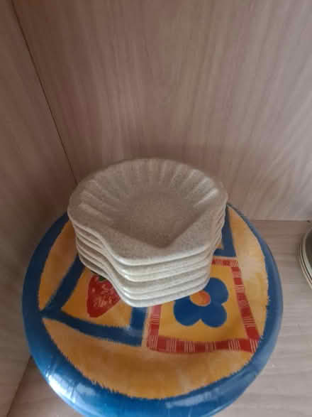 Photo of free Scallop shell dishes (Great Sutton CH66) #1