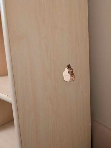 Photo of free Tall wooden shelves (Tufnell park, Anson rd) #3