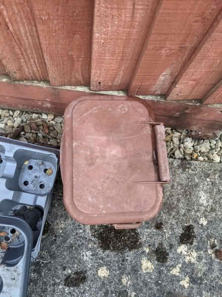 Photo of free Brown plastic caddy (Horspath OX33) #1