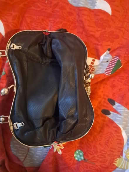 Photo of free Embellished handbag (Weybridge KT13) #3