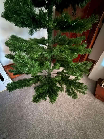 Photo of free Christmas Tree (Guildford GU1) #2