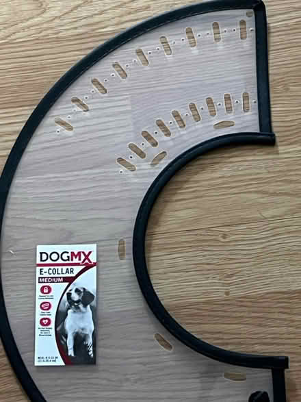 Photo of free New Dog cone/collar (Lansdale) #1