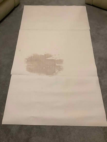 Photo of free Table protector (Hampden Park BN22) #2