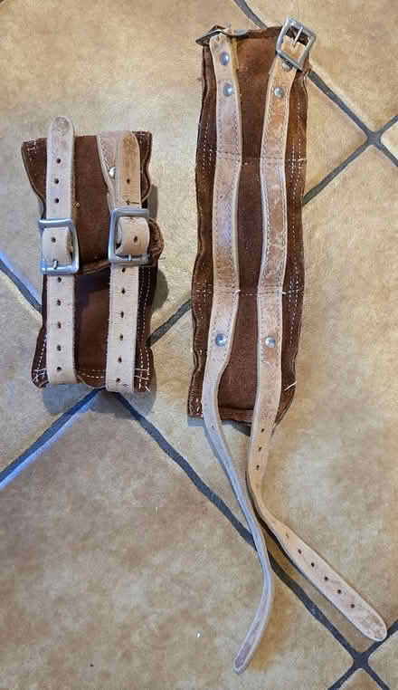 Photo of free Ankle weights (Forest Glen) #1