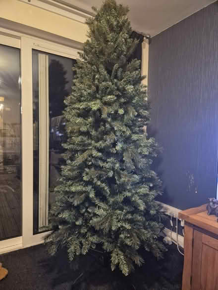 Photo of free Good quality Christmas tree (Vange) #1