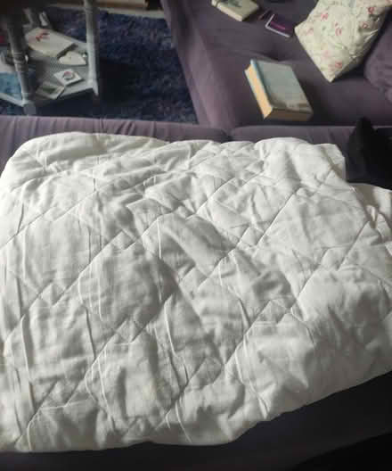 Photo of free Protector for Single bed (Melksham SN12) #1