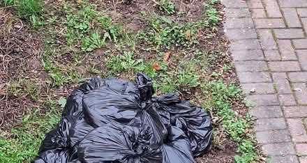 Photo of free soil (Chertsey KT16) #1