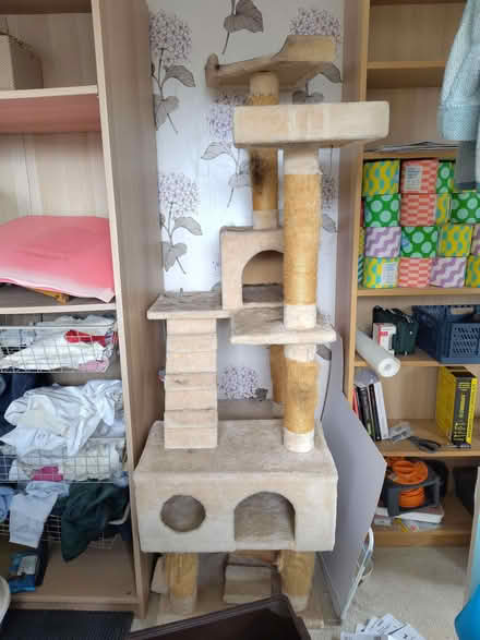 Photo of free Large cat tree (Leeds LS13) #1