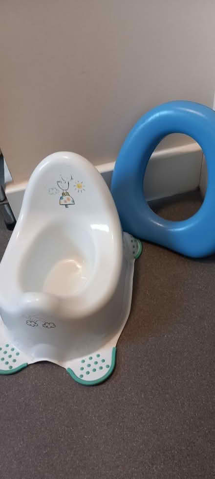 Photo of free Potty and toilet seat (TF1) #1