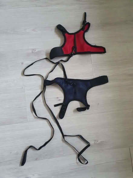 Photo of free Two small harnesses with leash for small animals (Winchmore Hill N13) #1
