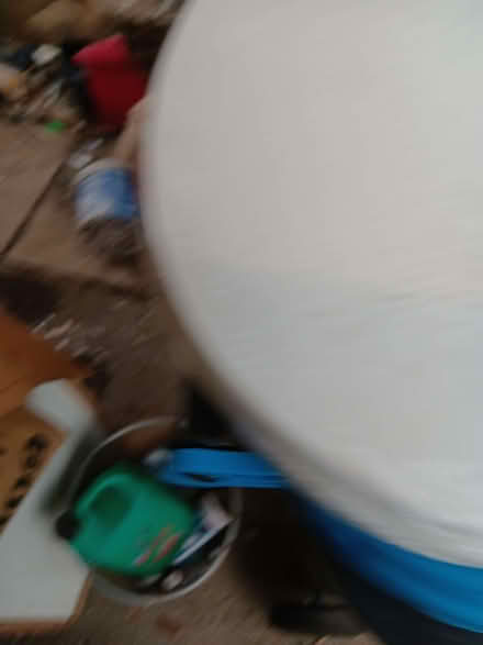 Photo of free BASIC New White Plastic Toilet Seat (Knaresborough HG5) #1