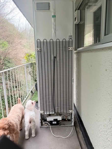 Photo of free Beko 50/50 Fridge Freezer (Handbridge CH4) #3