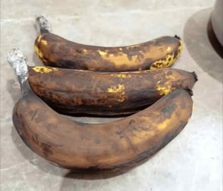 Photo of free Bananas brown (Mississauga Ontario Canada) #1
