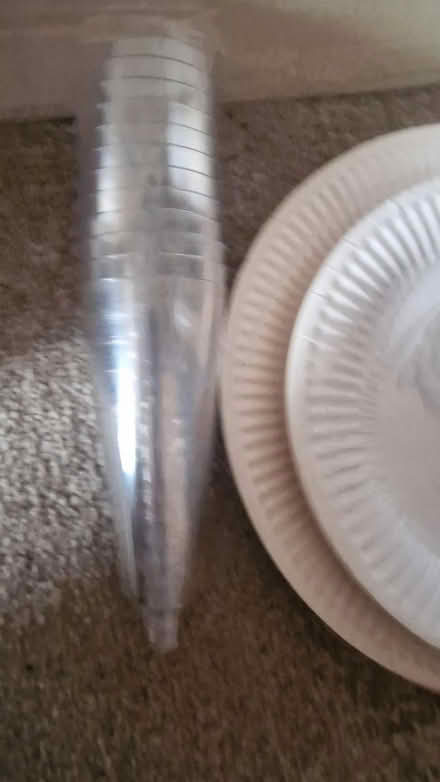 Photo of free Disposable crockery (Kirk Hallam DE7) #4