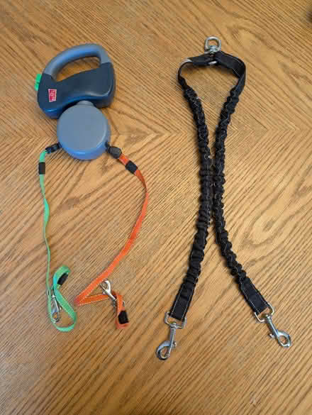 Photo of free Leashes for walking two dogs (Poughquag) #1