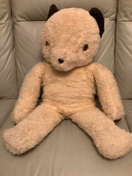 Photo of free Large teddy bear (Hampden Park BN22) #2