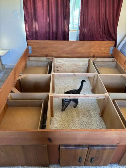 Photo of free King Bed and Mattress (City Heights) #3