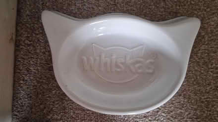 Photo of free Cat bowl (Kirk Hallam DE7) #1