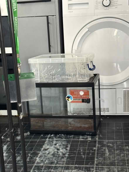 Photo of free Small viv (Hadlow) #1