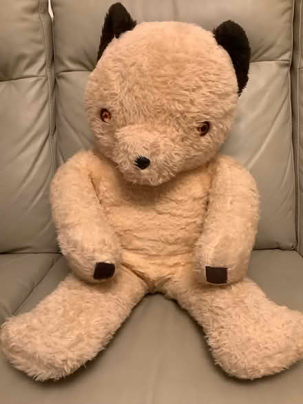 Photo of free Large teddy bear (Hampden Park BN22) #3