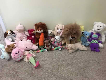 Photo of free Stuffed animals (Novato) #1
