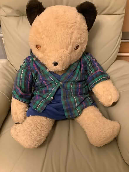 Photo of free Large teddy bear (Hampden Park BN22) #1