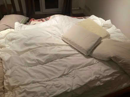 Photo of free duvets (Lower Clapton E5) #2