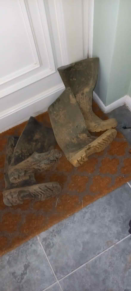 Photo of free Wellies - adult sizes 7 and 9 (Filsham TN38) #1