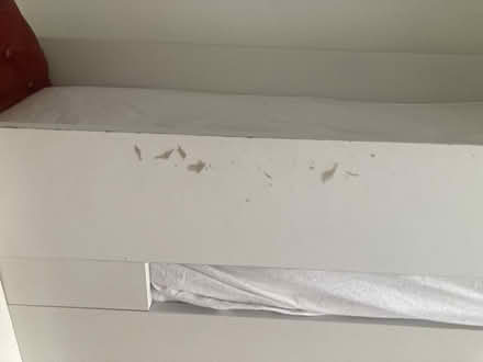 Photo of free Childs Single Captains bed (Easton, Bristol) #3