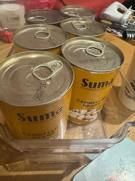 Photo of free Beans (Chad Valley B15) #1