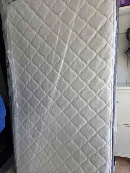 Photo of free Two twin mattresses (Dundas St E & Greenwood Ave) #2