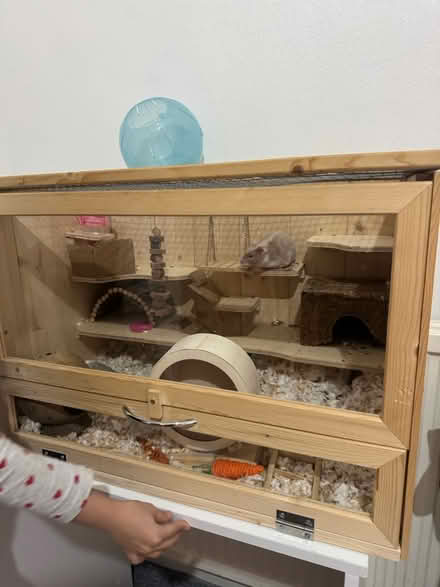 Photo of free Hamster cage (N4) #1